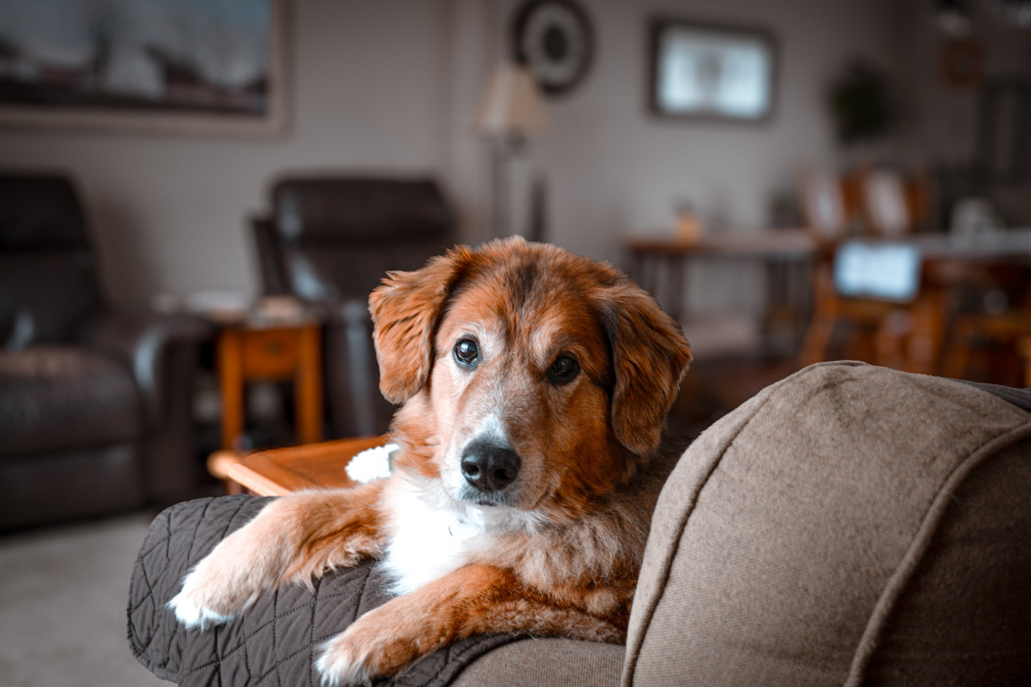 Photography services