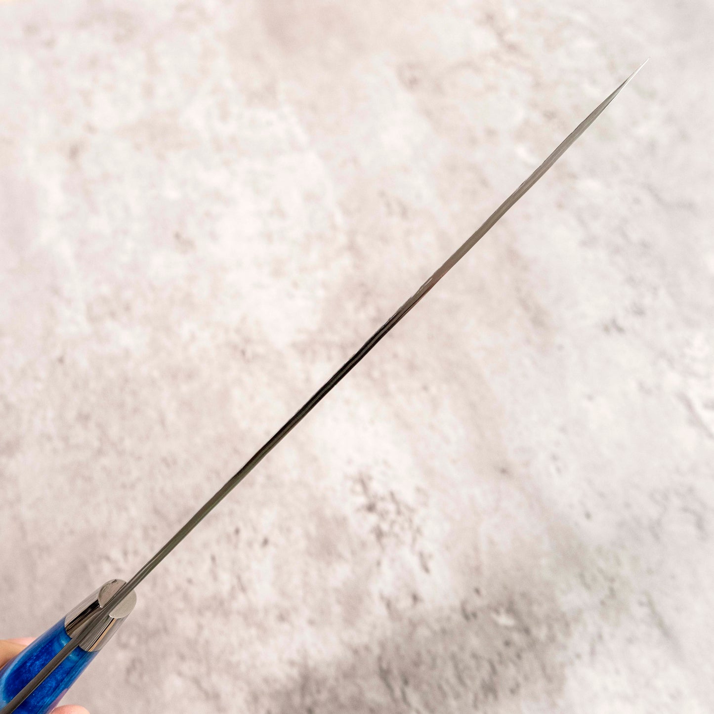 Takeshi Saji STRIX Gyuto 205 mm