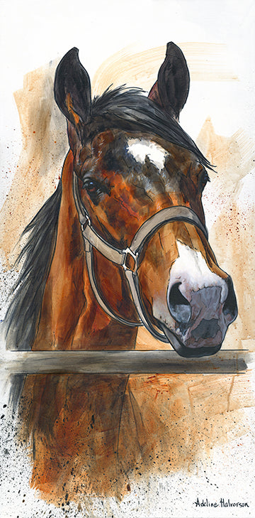 The Gate Crew - Confident