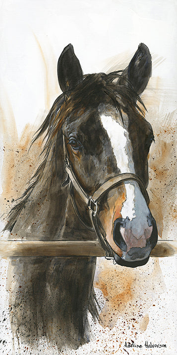 The Gate Crew - Curious