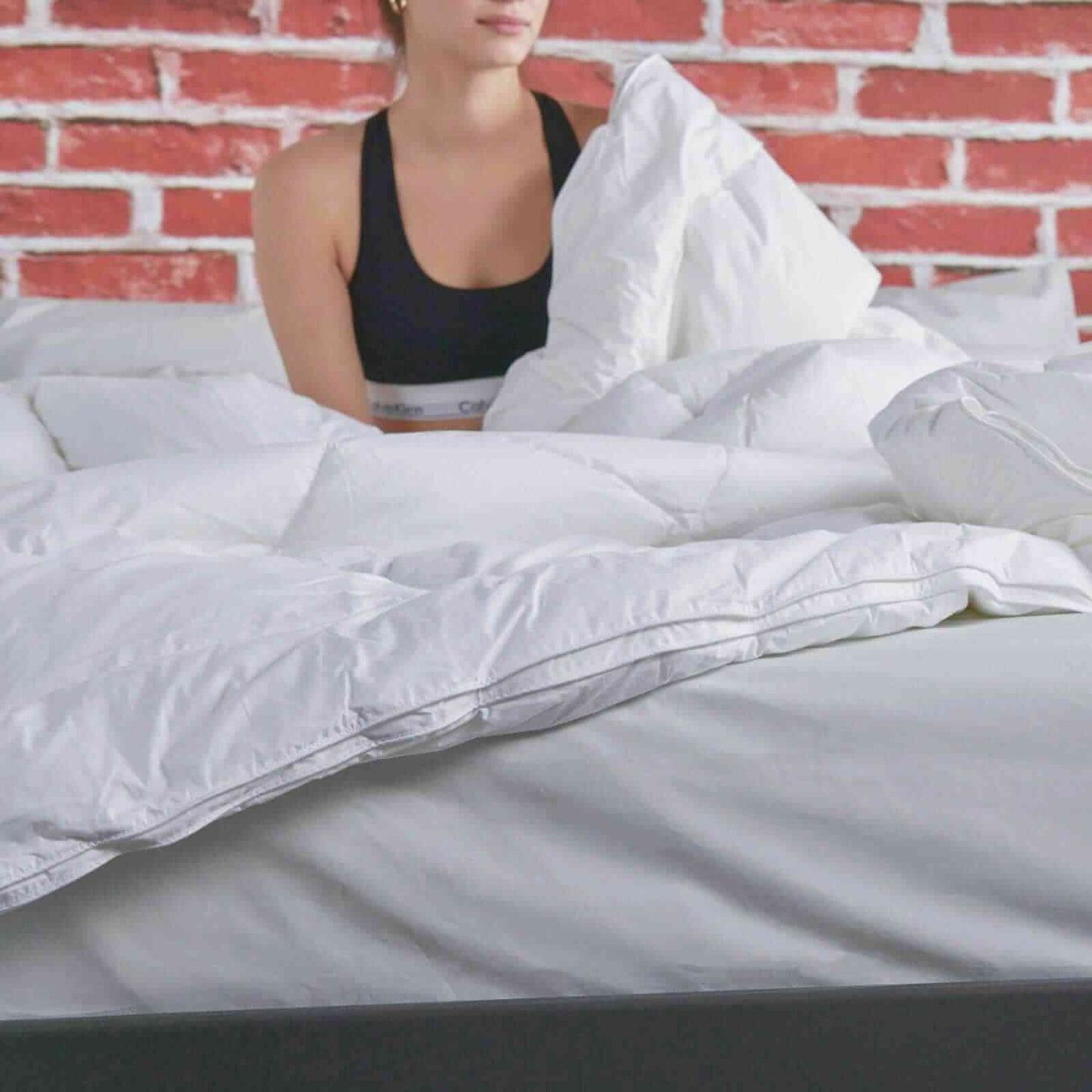 Down Alternative Duvet Insert
