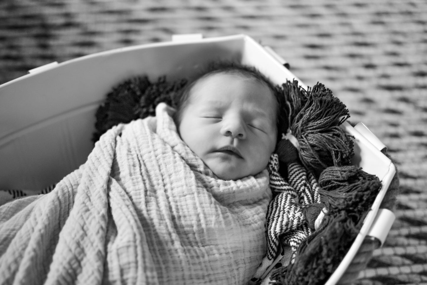 Photography services