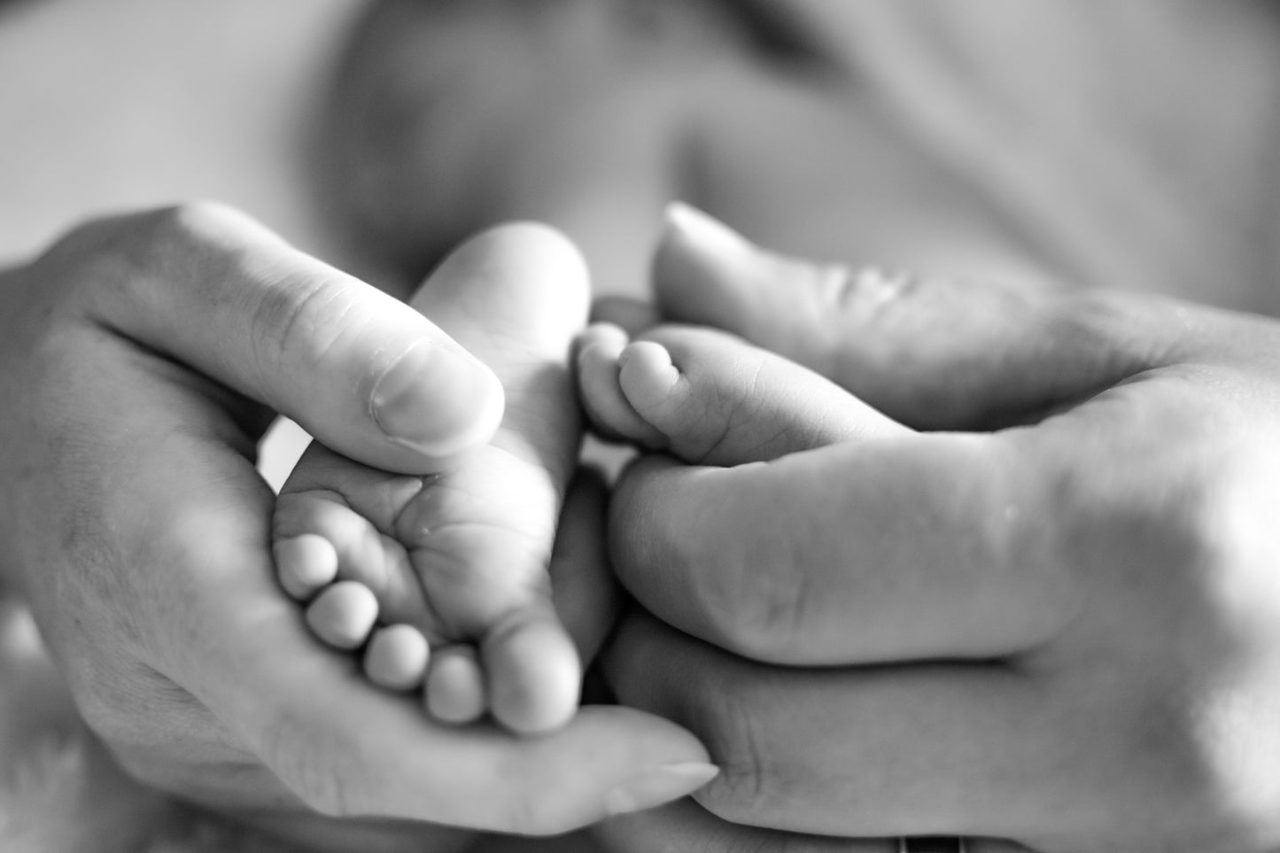 Photography services