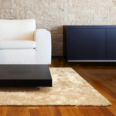 Textured Shag Rug 5'x 7'