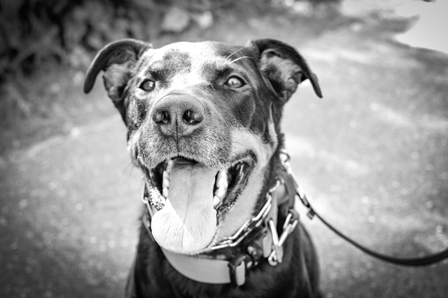 Photography services