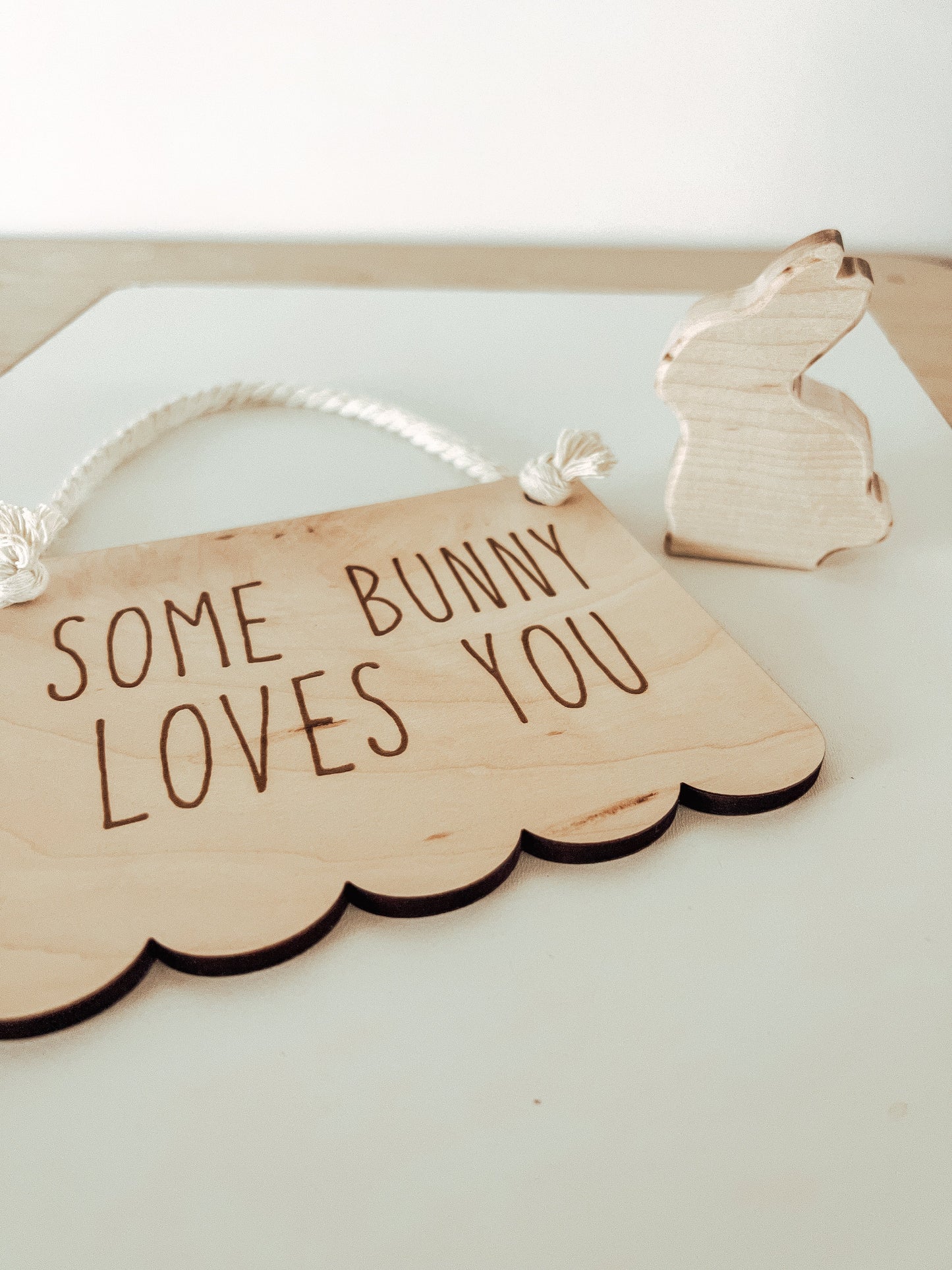 "Some Bunny Loves You" Sign