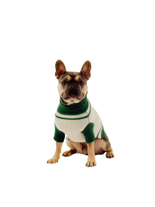 The Varsity Sweater