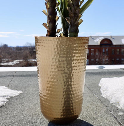 Davi - Brass Planter (Multiple Sizes)