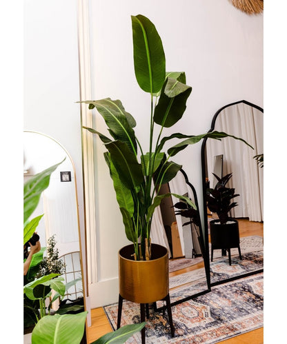 Kola Artificial Travellers Palm Tree Potted Plant (Multiple Sizes)