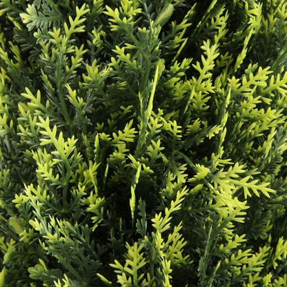 Jacob Potted Boxwood Topiary Plant (Multiple Sizes)