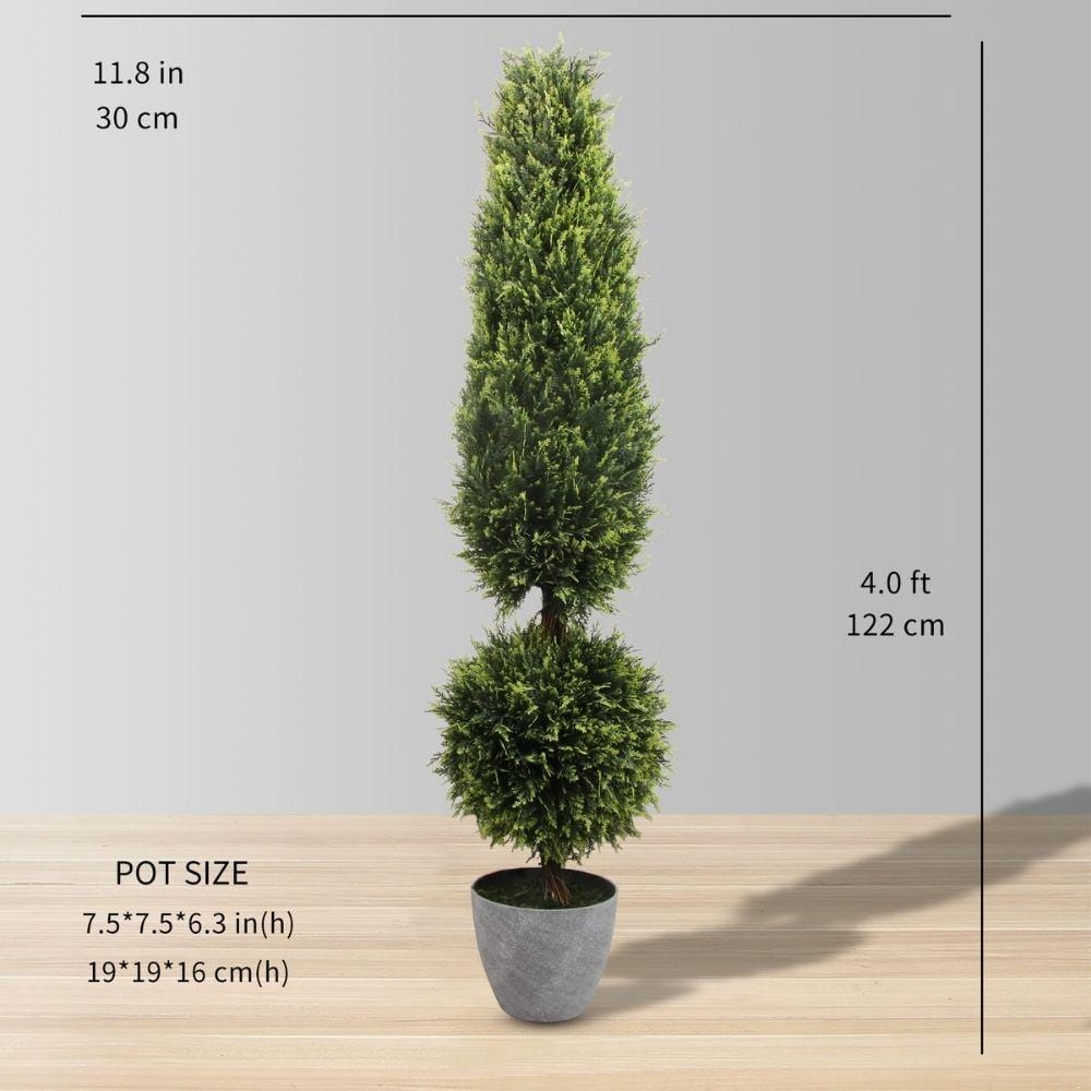 Jacob Potted Boxwood Topiary Plant (Multiple Sizes)