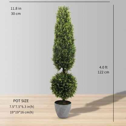 Jacob Potted Boxwood Topiary Plant (Multiple Sizes)