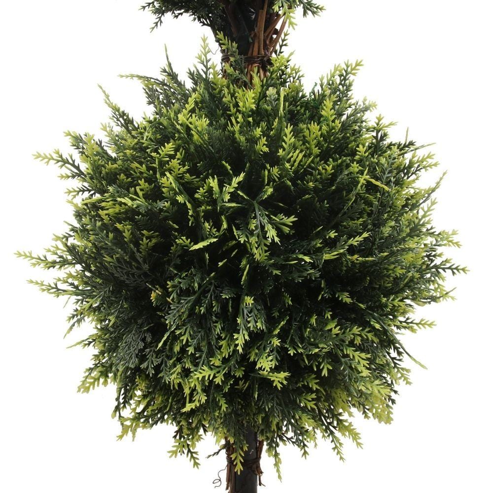 Jacob Potted Boxwood Topiary Plant (Multiple Sizes)