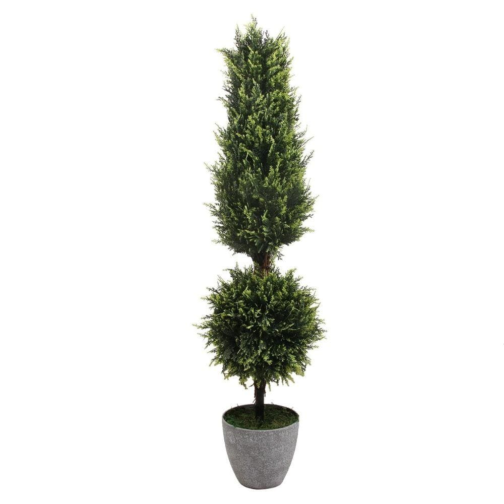Jacob Potted Boxwood Topiary Plant (Multiple Sizes)