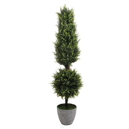 Jacob Potted Boxwood Topiary Plant (Multiple Sizes)