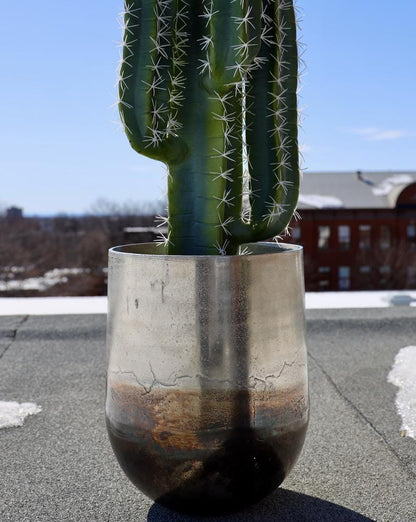 Petra - Brass Planter (Multiple Sizes)