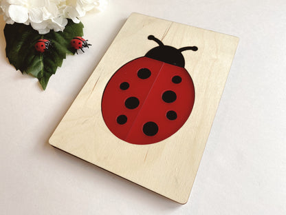 Ladybug Puzzle