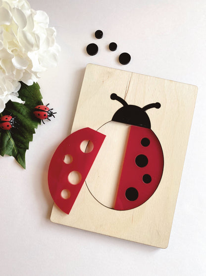 Ladybug Puzzle