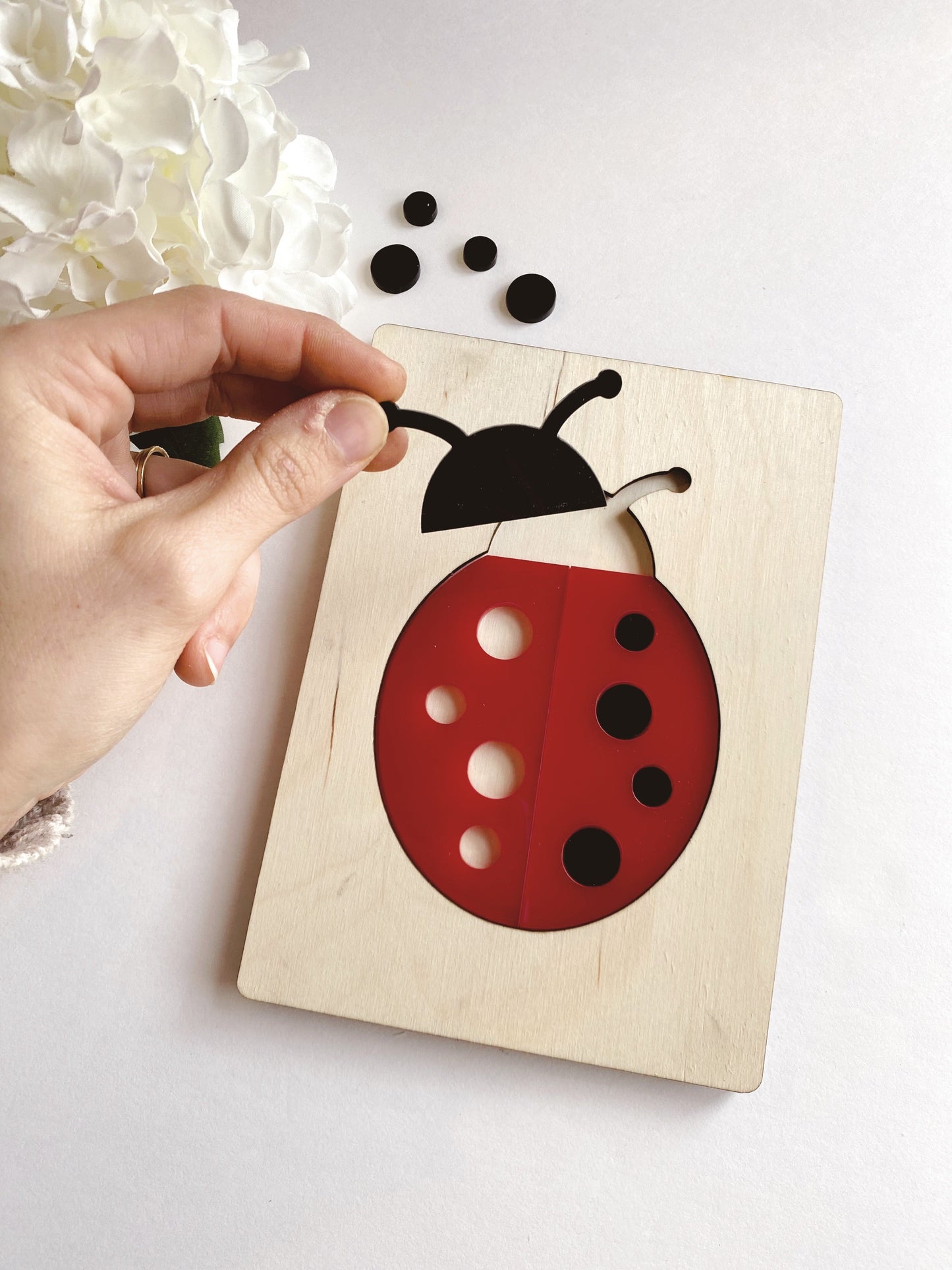 Ladybug Puzzle