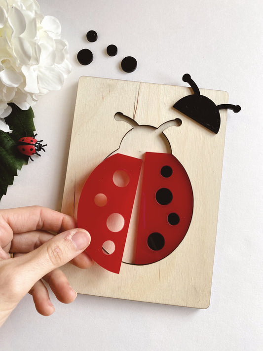 Ladybug Puzzle