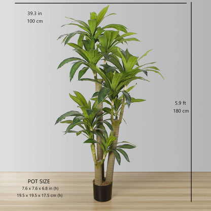 Dana Artificial Draecena Tree Potted Plant (Multiple Sizes)