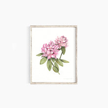 Load image into Gallery viewer, Rhododendron
