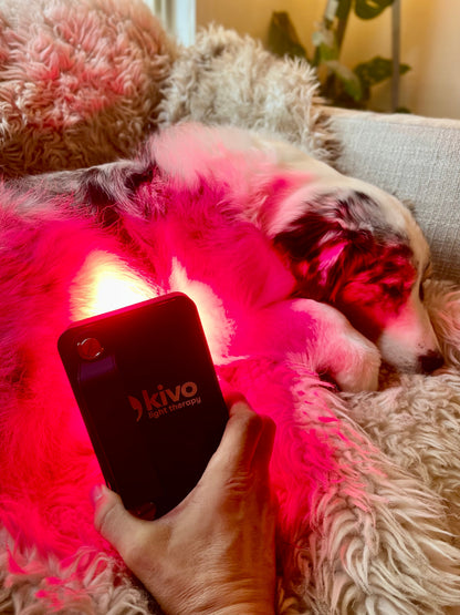 Kivo Elite Mini: Portable Red Light