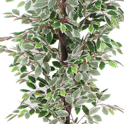 Olaya Artificial Ficus Potted Plant 6'
