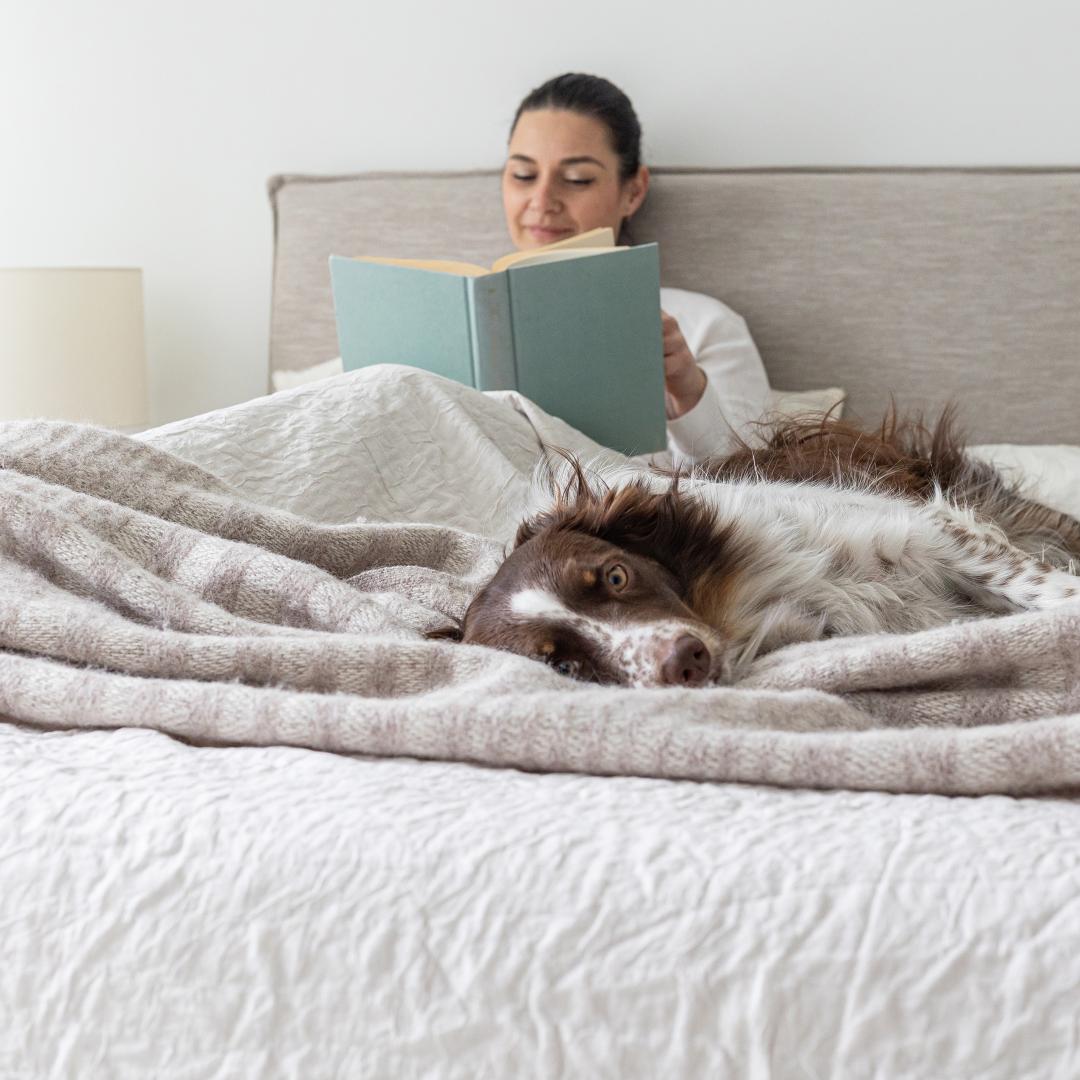 Julia King Storage Bed - Sand