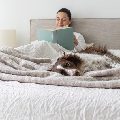 Julia King Storage Bed - Sand