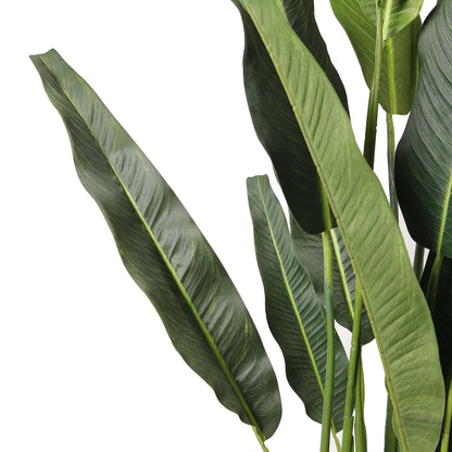 Kola Artificial Travellers Palm Tree Potted Plant (Multiple Sizes)