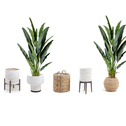 Kola Artificial Travellers Palm Tree Potted Plant (Multiple Sizes)