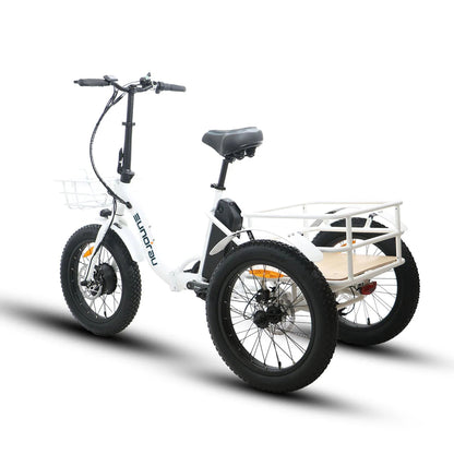 NEW-TRIKE