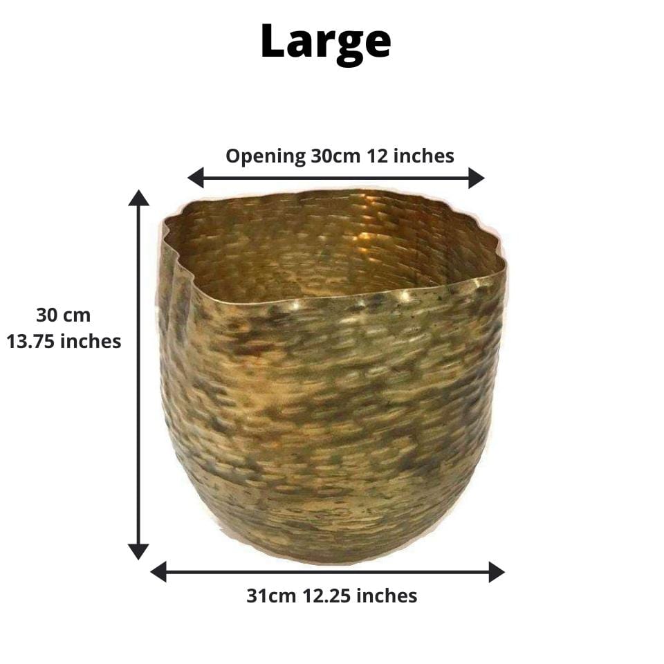 Poloma - Brass Basket Planter (Multiple Sizes)