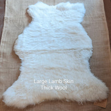 Load image into Gallery viewer, Sheep &amp; Lamb Skins
