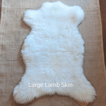 Sheep & Lamb Skins