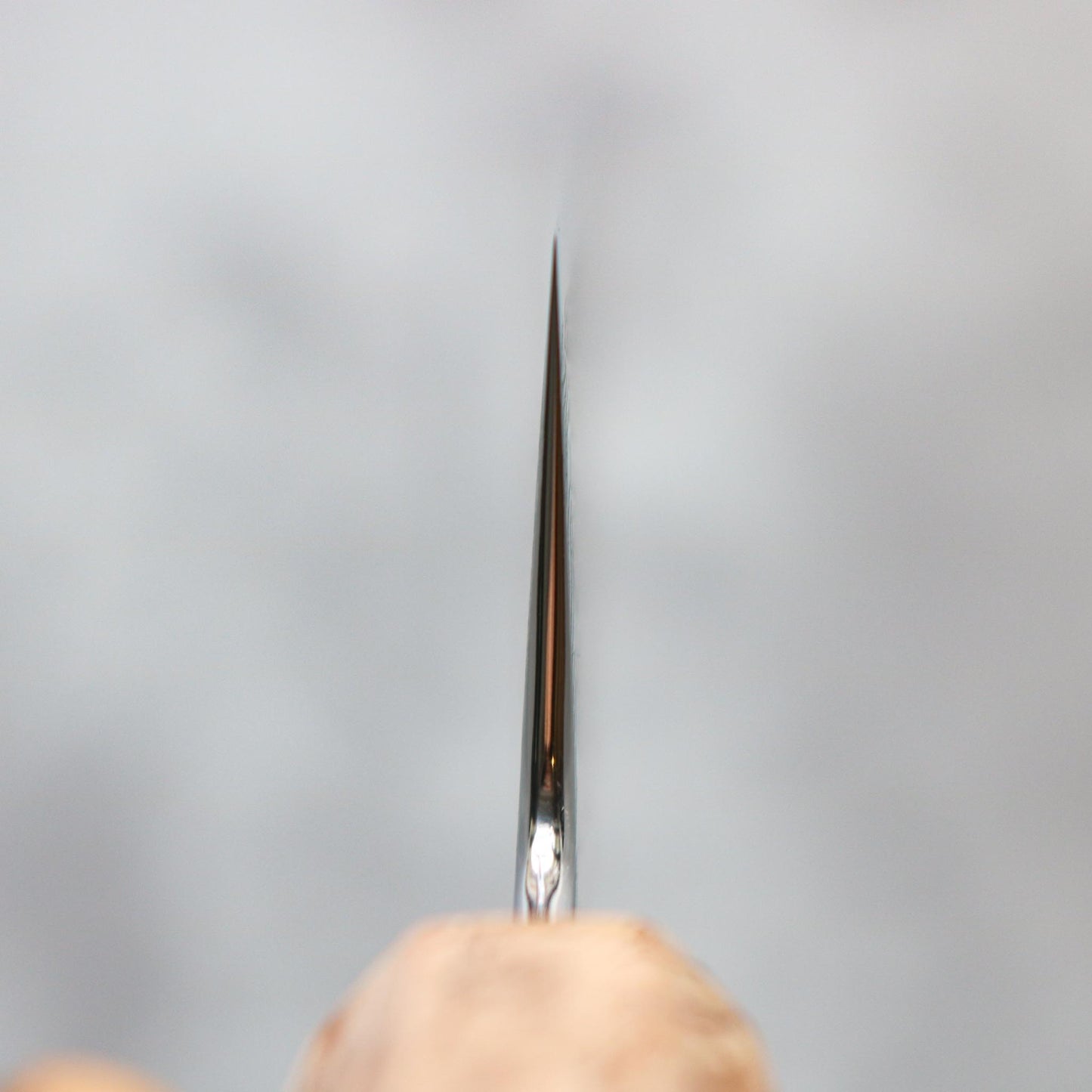 Ryusen Hamono Fukaku-ryu Sujihiki 270 mm