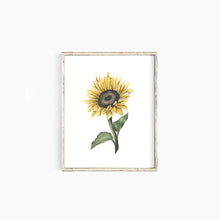 Load image into Gallery viewer, Sunflower II
