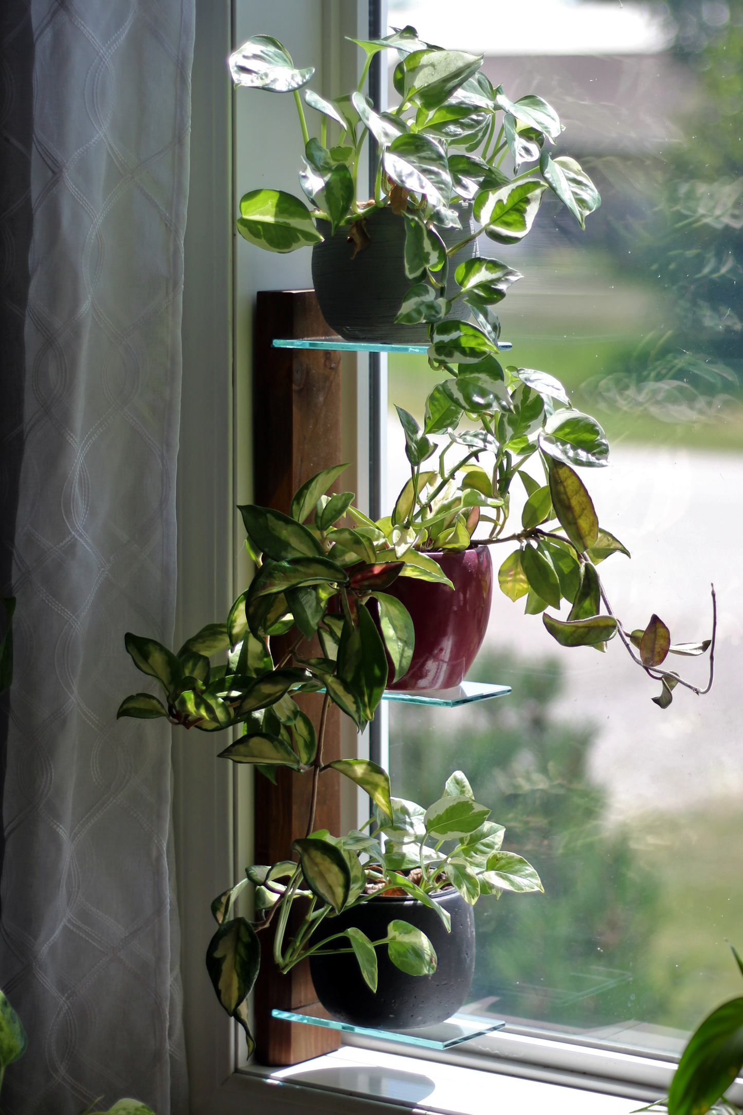 Renter-Friendly Window Shelf | Woodland Brown with Tempered Glass