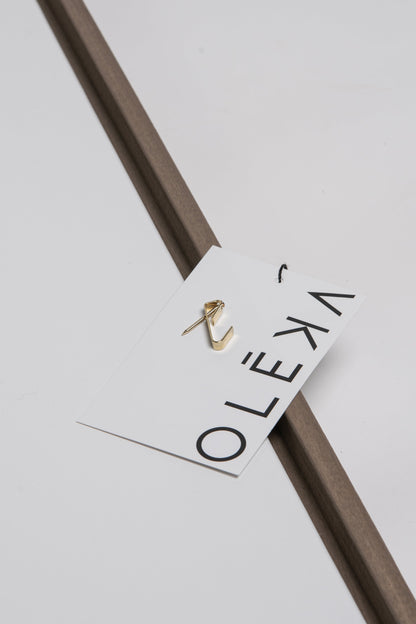 PARADIS TOURMENTÉ, Oeuvre sur toile étirée