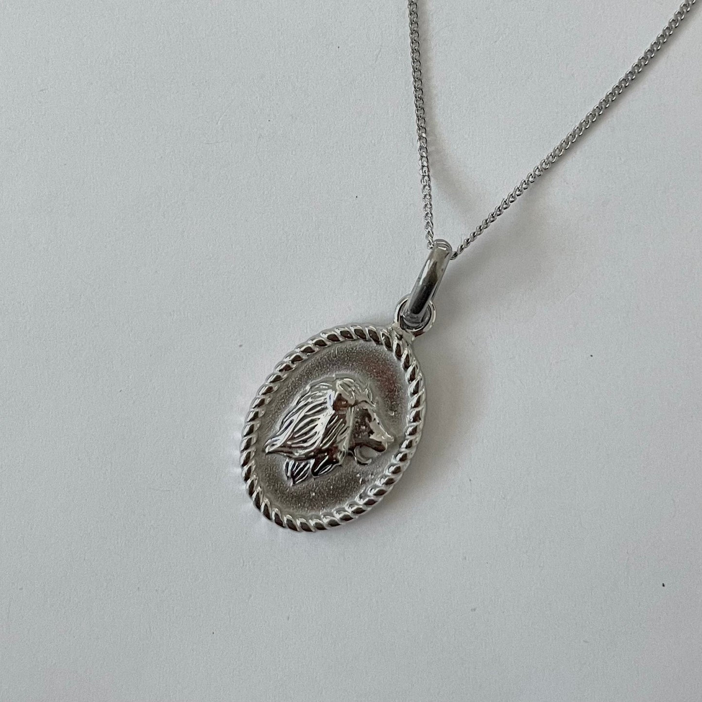 Zodiac 2.0 Necklace - Silver