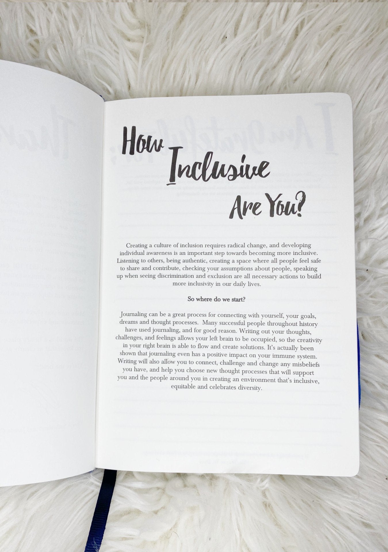 Inclusion Notebook