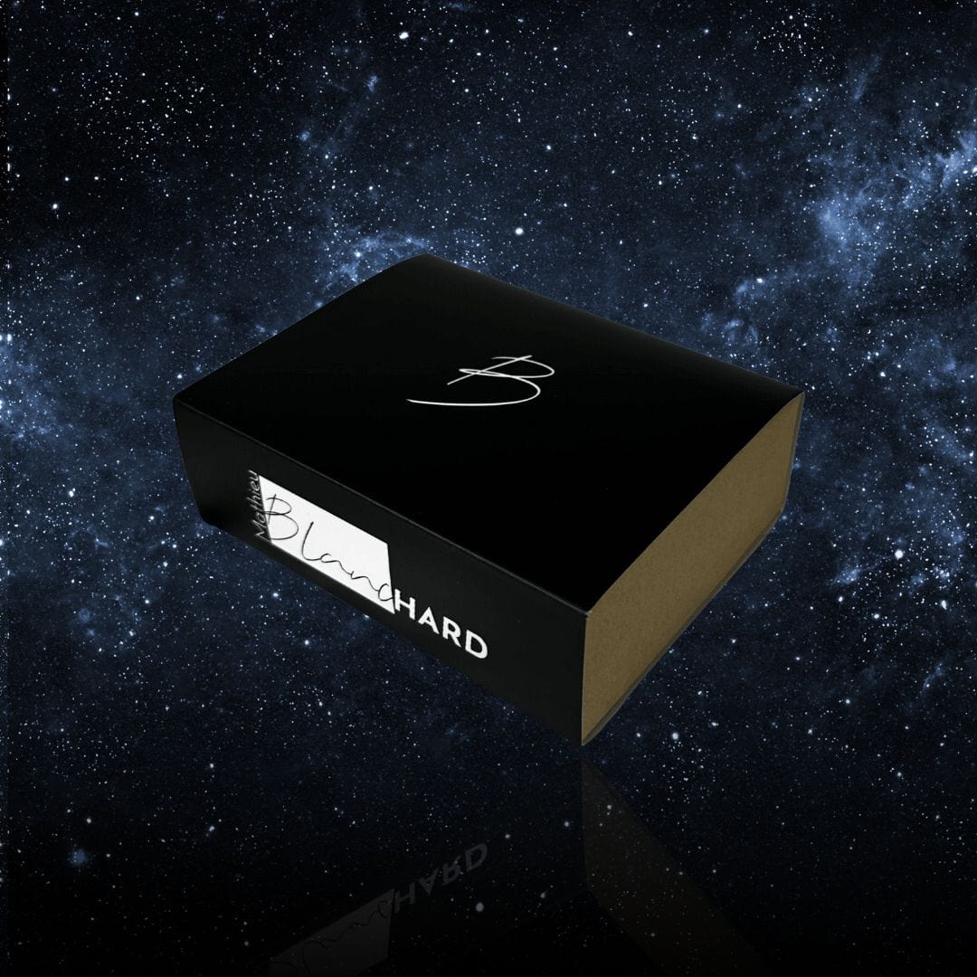 Montre Cosmos avec météorite Gibeon *Édition limitée