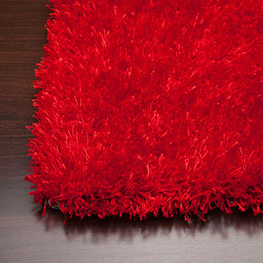 Textured Shag Rug 5'x 7'