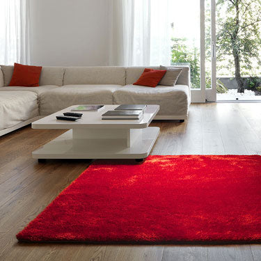 Textured Shag Rug 5'x 7'