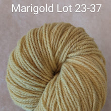 Load image into Gallery viewer, Growth Yarn - 2ply DK

