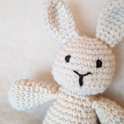 Crochet Bunny Kit