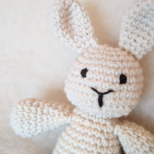 Load image into Gallery viewer, Crochet Bunny Kit
