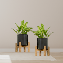 Load image into Gallery viewer, Planter with Wooden Stand, Set of 2
