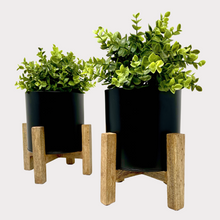 Load image into Gallery viewer, Planter with Wooden Stand, Set of 2

